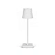 Desk LED Lamp with USB Rechargeable Battery
